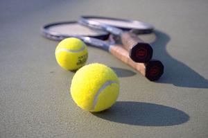 ゴルフ会員権の購入ガイド：メリットと名門コースへのアクセス方法を徹底解説